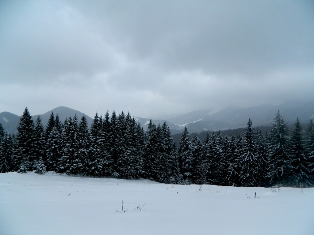 Poiana Zănoaga iarna